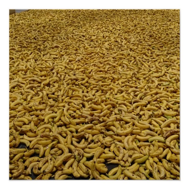 Pôster Banana Republic 20" x 20",Papel Poster,Semibrilho (Frente)