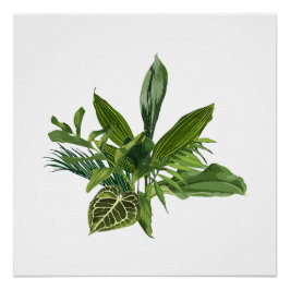 Pôster Banana tropical de palma e folhas exóticas.