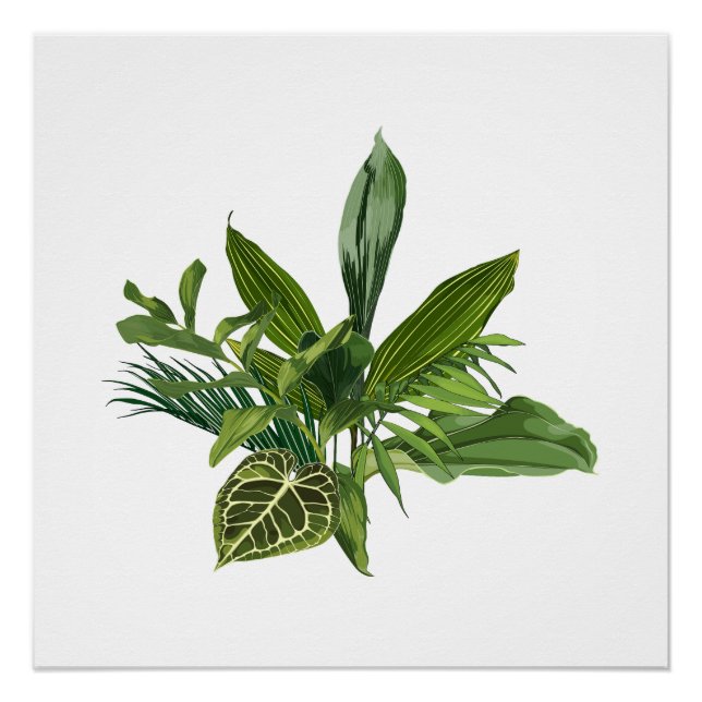 Pôster Banana tropical de palma e folhas exóticas. (Frente)