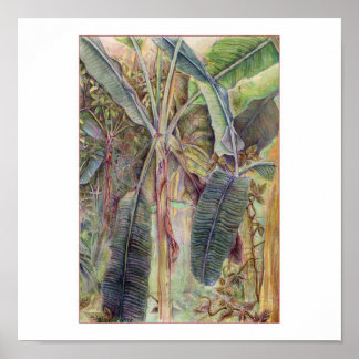 Pôster Bananas Árvores © 2010