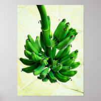 Bananas verdes