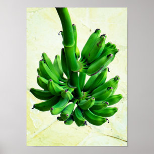 Poster Bananas verdes