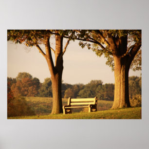 Poster Banco ao Pôr do Sol