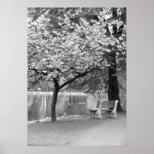 Poster Banco de parque