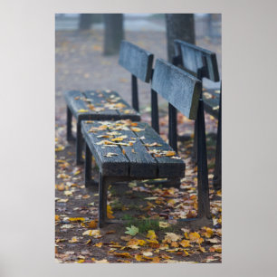 Poster Banco de parque em manhã nebulosa, Alemanha