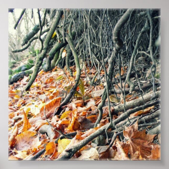 Pôster Banco do rio Hafren (Frente)