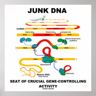 Pôster Banco Junk DNA De Atividade Crucial De Controle De