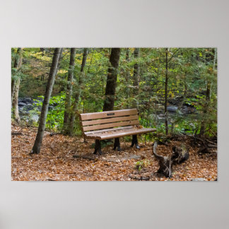Poster Banco Tranquilo na Floresta no Outono