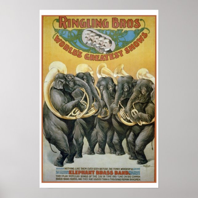 Poster Banda de latão de elefantes de circo (Frente)