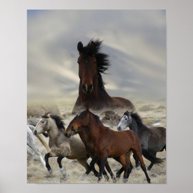 Poster Banda De Um (Frente)