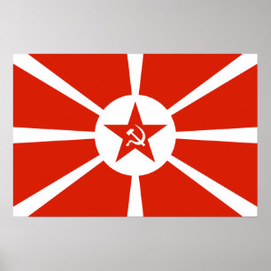 Pôster Bandeira 1923 do marinho