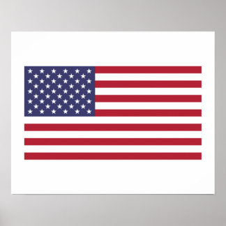 Pôster Bandeira Americana