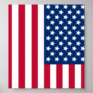 Pôster Bandeira Americana
