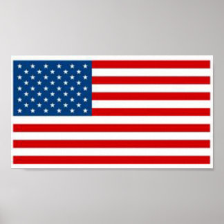 Poster Bandeira Americana