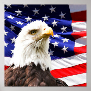 Poster Bandeira Americana e Águia Balda