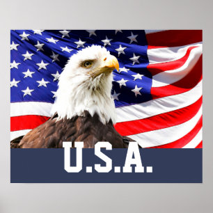 Poster Bandeira Americana e Águia Careca