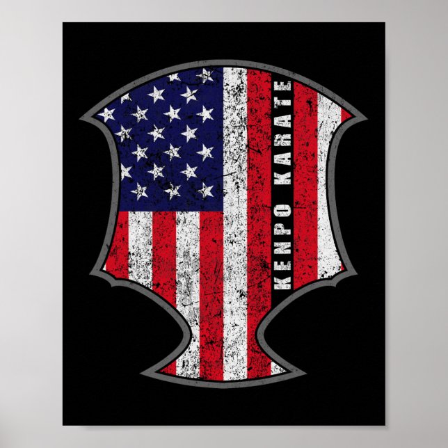 Poster Bandeira Americana Kenpo Karate Combatendo o Roman (Frente)