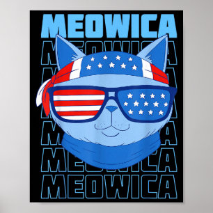 Poster bandeira americana meme de gato engraçado patrióti