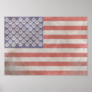 Pôster Bandeira americana peludo