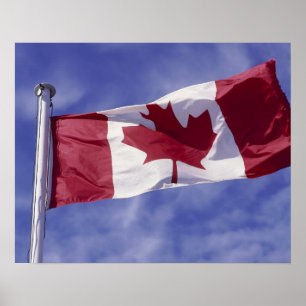 Pôster bandeira canadense