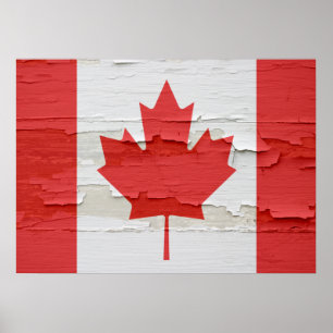 Pôster Bandeira canadense resistida