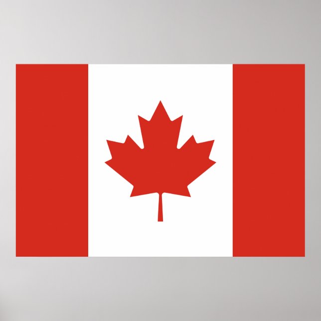 Poster Bandeira Canadiana (Maple Leaf) (Canadá) (Frente)