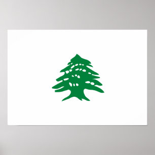 Pôster Bandeira Cedar do Líbano Verde