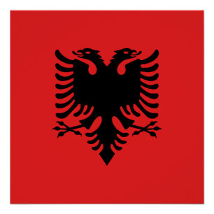Pôster Bandeira da Albânia