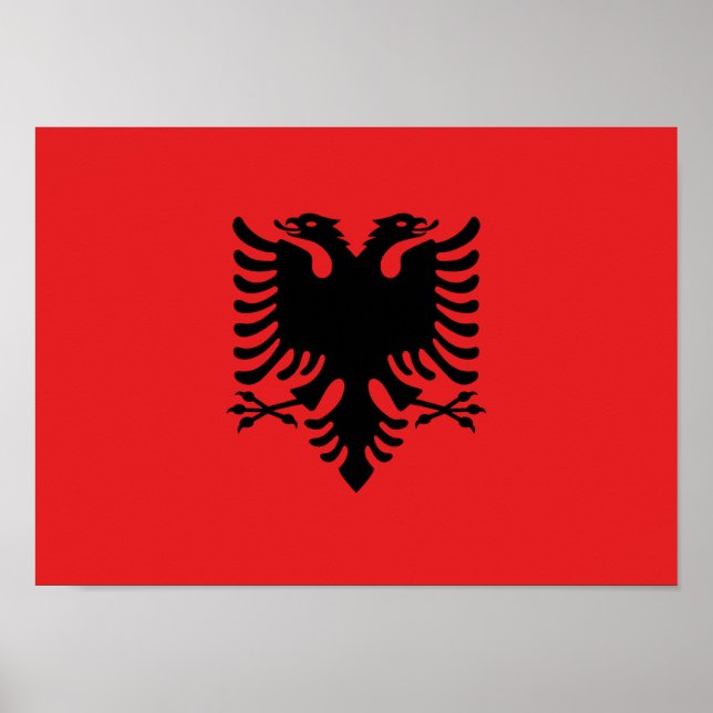 Poster Bandeira da Albânia - Flamuri Kombëtar - Bandeira  (Frente)