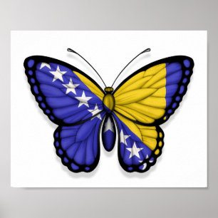 Pôster Bandeira da borboleta de Bósnia - de Herzegovina