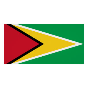 Pôster Bandeira da Guiana