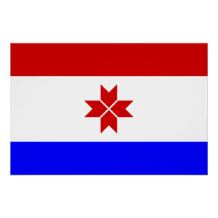 Pôster Bandeira da Mordóvia