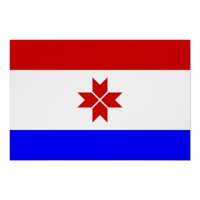 Pôster Bandeira da Mordóvia (Frente)