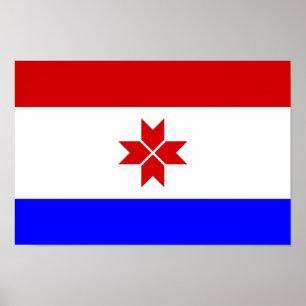 Poster Bandeira da Mordóvia