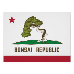 Pôster Bandeira da República Bonsai