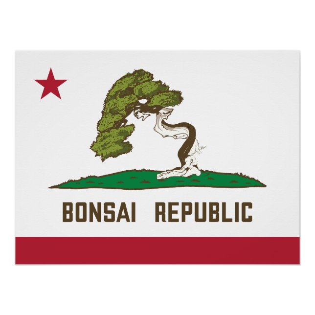 Pôster Bandeira da República Bonsai (Frente)