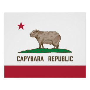 Pôster Bandeira da República de Capybara