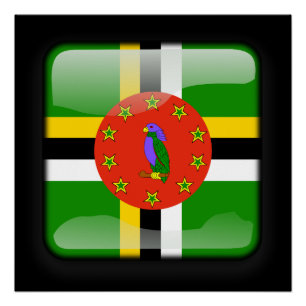 Pôster Bandeira da República Dominicana