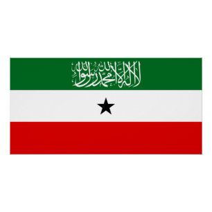 Pôster Bandeira da Somalilândia