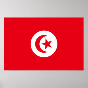Poster Bandeira da Tunísia