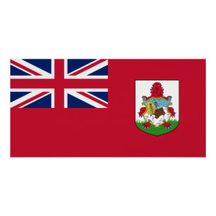 Pôster Bandeira das Bermudas Patriótica