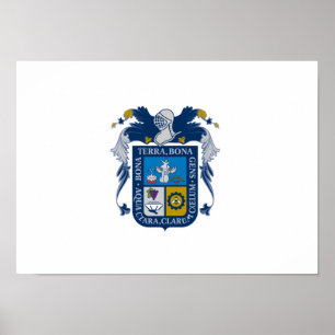 Pôster Bandeira de Aguascalientes