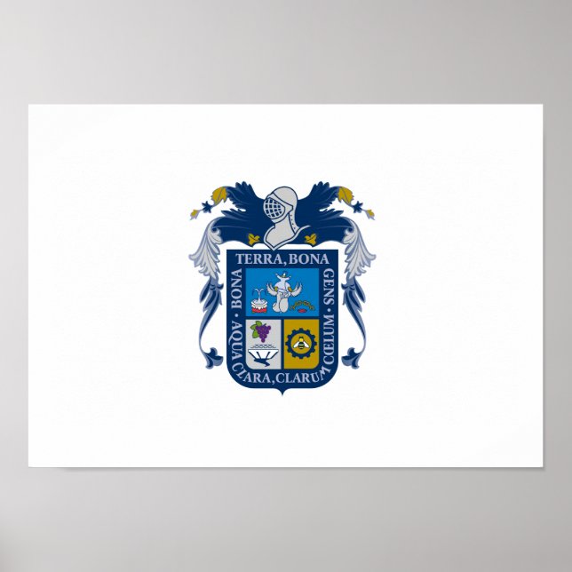 Pôster Bandeira de Aguascalientes (Frente)