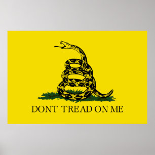Pôster Bandeira de Gadsden