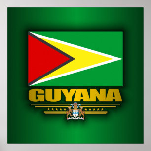 Pôster Bandeira de Guyana