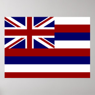 Poster Bandeira de Havaí