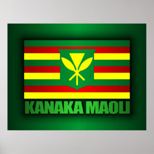 Poster Bandeira de Kanaka Maoli