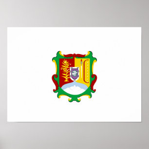 Pôster Bandeira de Nayarit