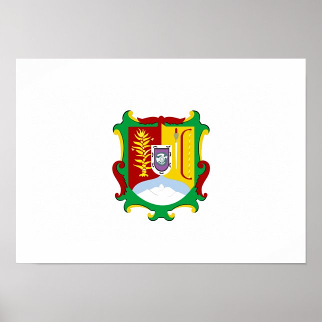Pôster Bandeira de Nayarit (Frente)