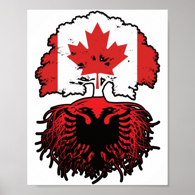 Poster Bandeira de Raízes de Árvore do Canadá Albanês (Frente)